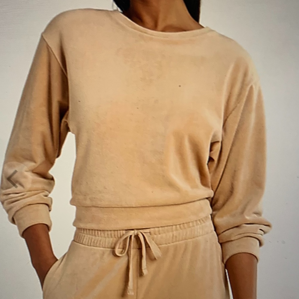 Velour Tan Camel Gold Express sweatshirt  New with tag